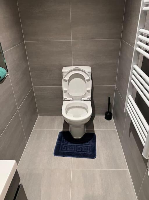 009- Studio Apartment In Ealing F5 Экстерьер фото